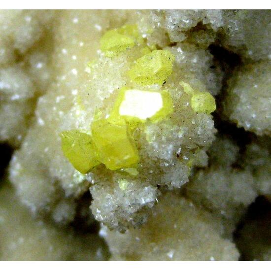 Native Sulphur On Aragonite