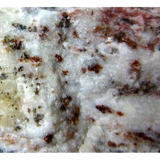 Perraultite & Hastingsite