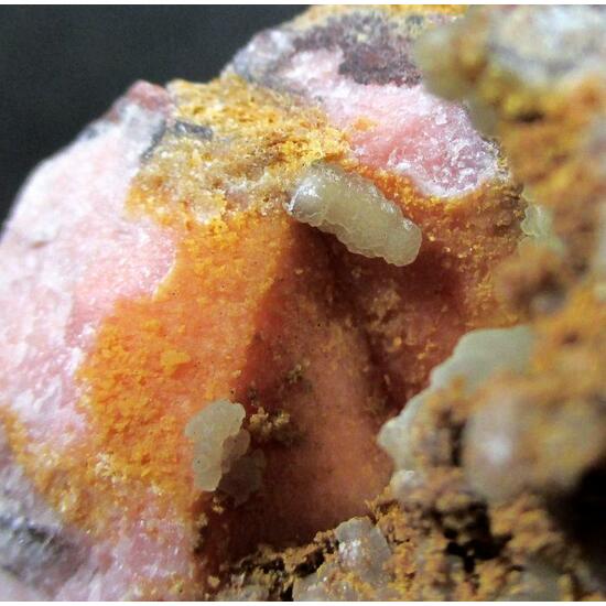 Rhodochrosite Psm Calcite & Calcite