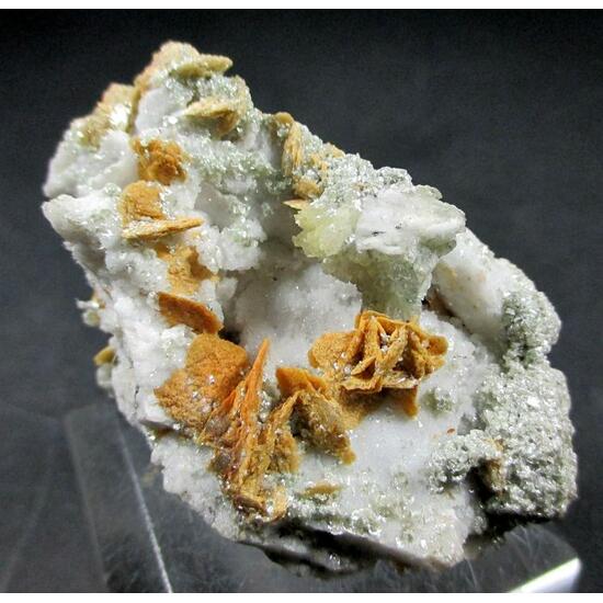 Siderite Var Pistomesite & Fluorapatite