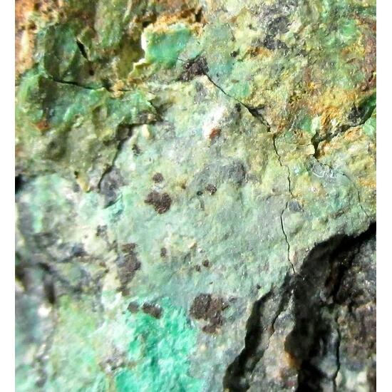 Namibite On Chrysocolla
