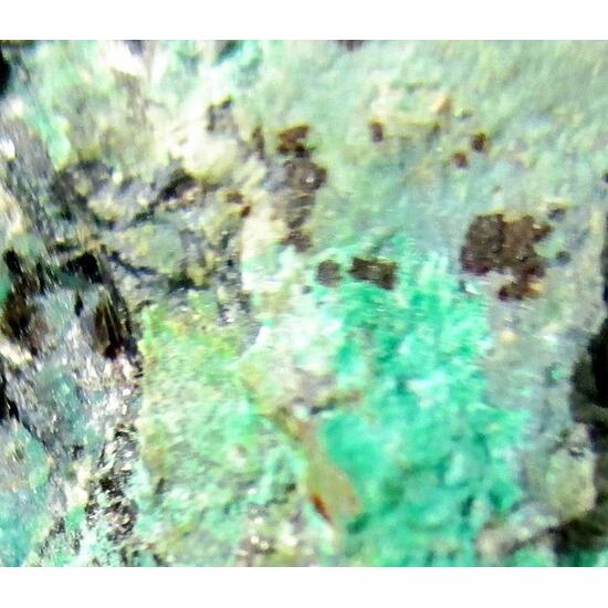 Namibite On Chrysocolla