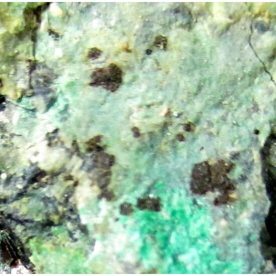 Namibite On Chrysocolla