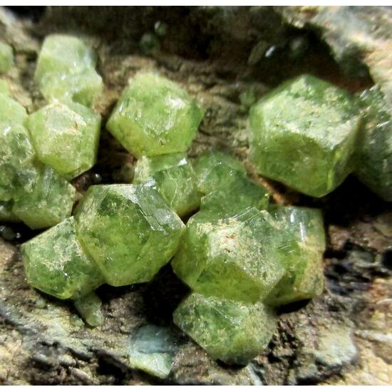 Demantoid On Serpentine