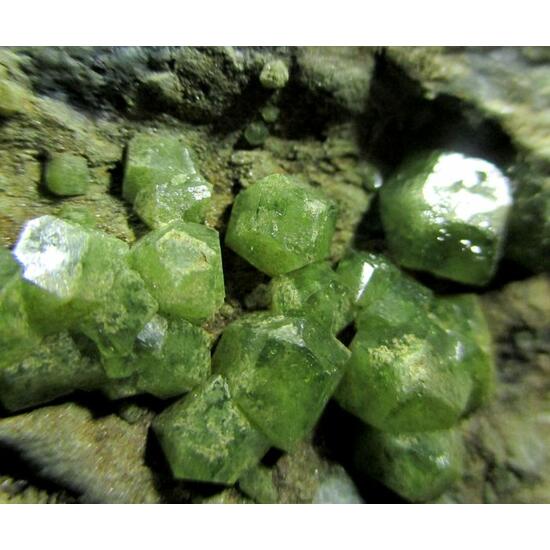 Demantoid On Serpentine