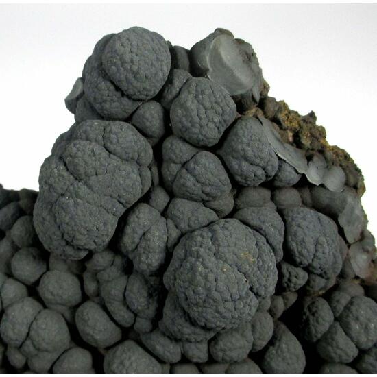 Manganese Oxides Psm Fossil Stromatolites
