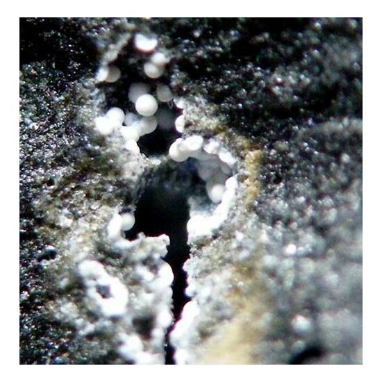 Blixite & Aragonite