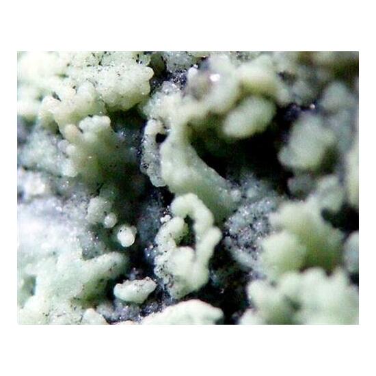 Nickeltalmessite & Picropharmacolite