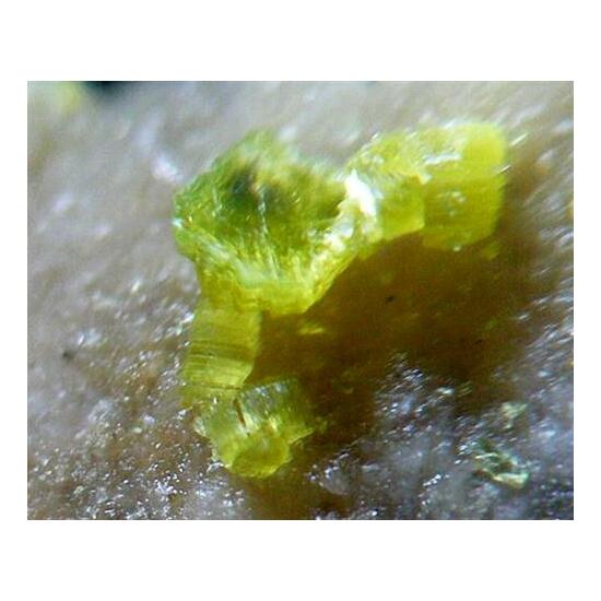 Autunite