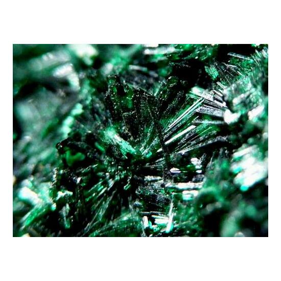 Halloysite & Atacamite