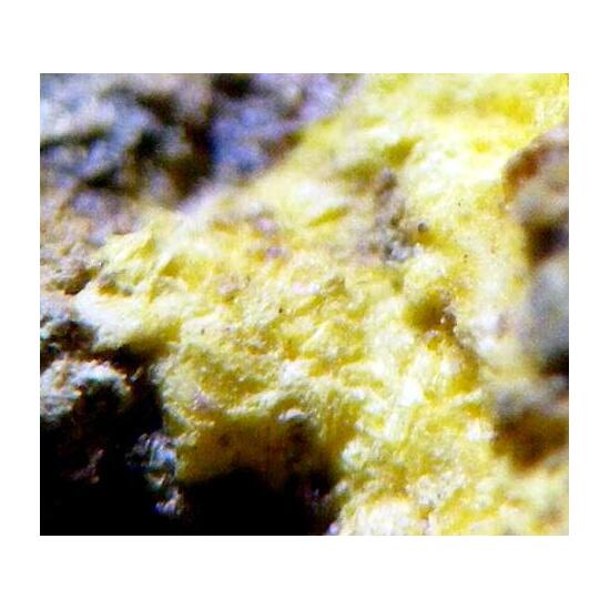 Uranopilite