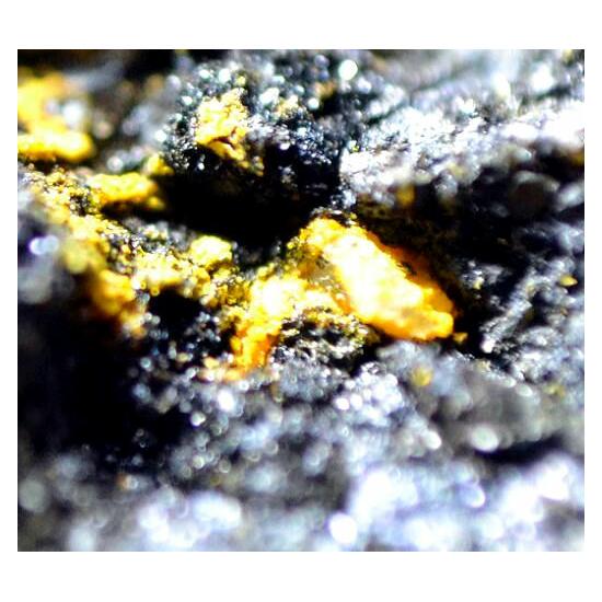 Nolanite & Pascoite
