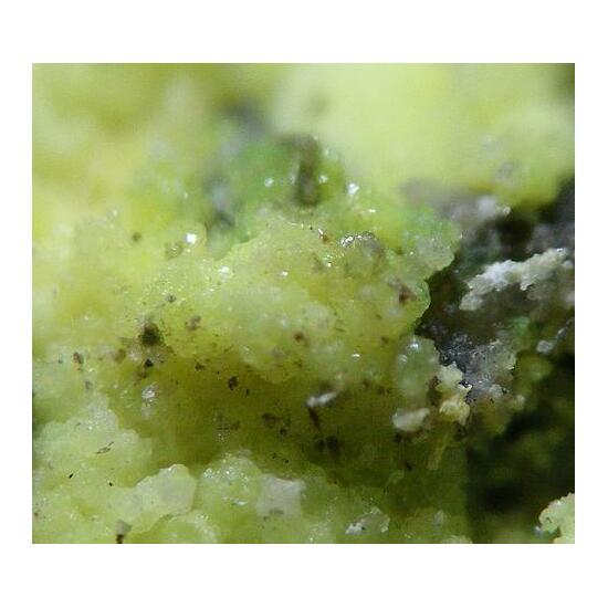 Pseudojohannite