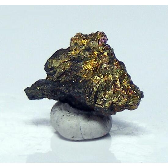 Talnakhite & Stannoidite