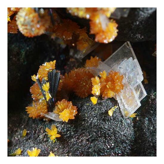 Hutchinsonite Orpiment & Baryte