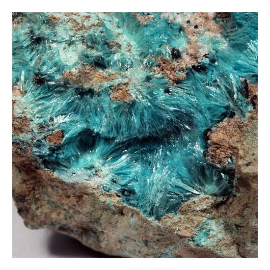 Aurichalcite