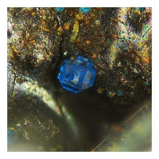 Pseudoboleite