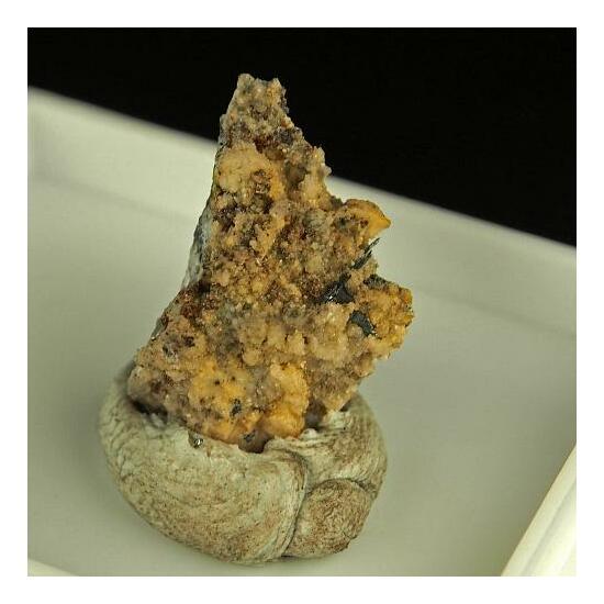 Xanthoconite
