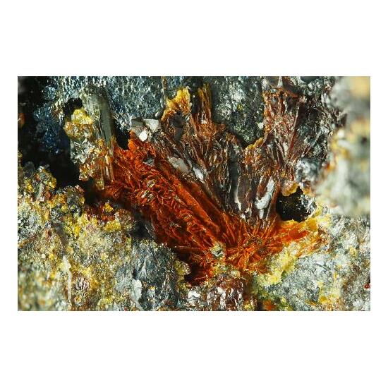 Pattersonite