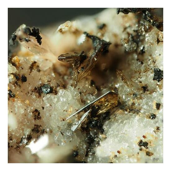 Sarkinite