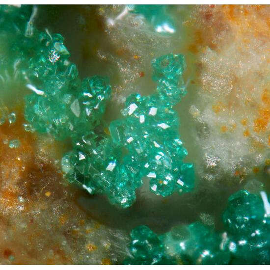 Clinoatacamite