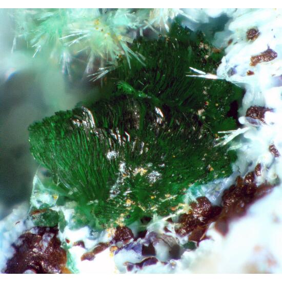 Philipsburgite
