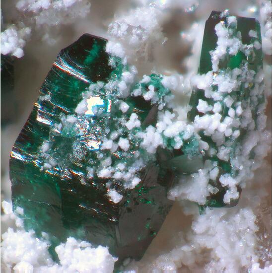 Lammerite