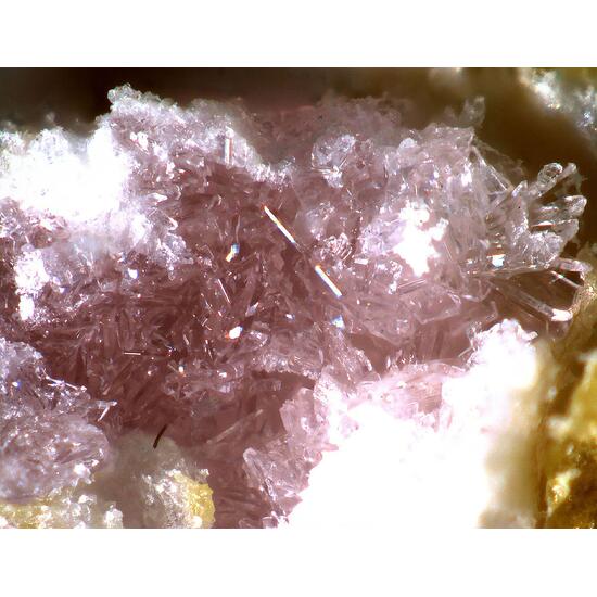 Magnesiokoritnigite