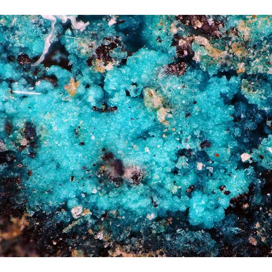 Chalconatronite & Lecoqite-(Y)