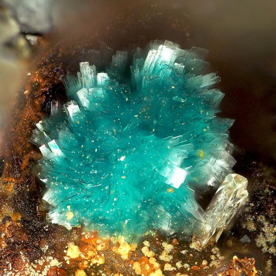 Devilline