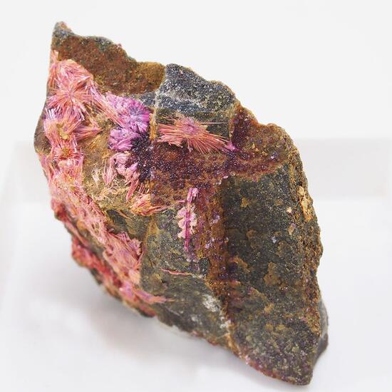 Mansfieldite Smolyaninovite & Erythrite