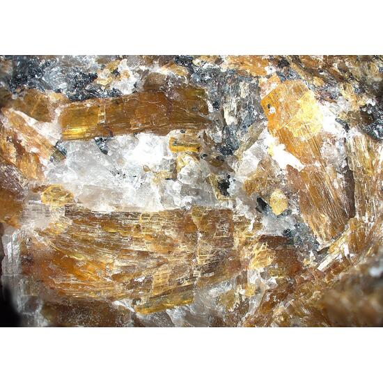 Richterite