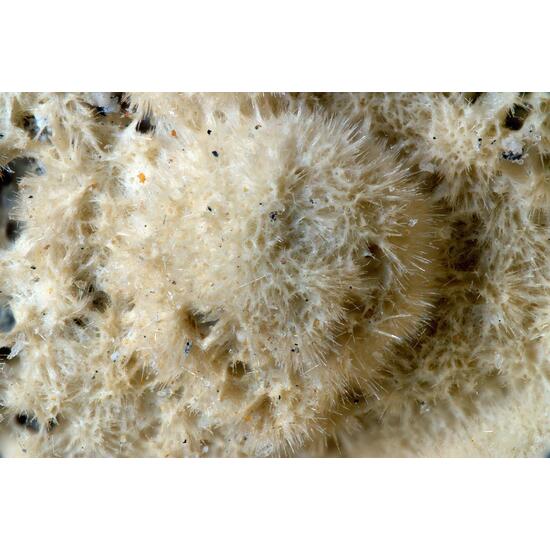 Rhabdophane-(La)