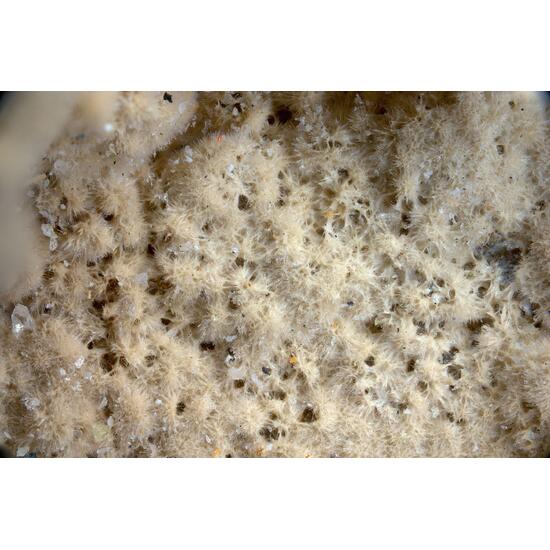 Rhabdophane-(La)