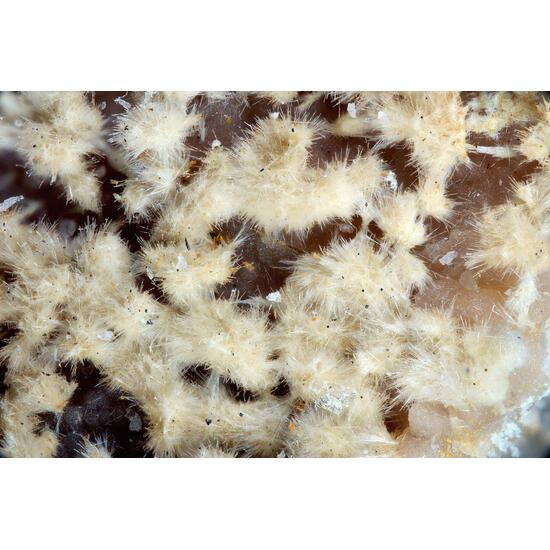 Rhabdophane-(La)