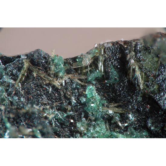 Libethenite & Corkite