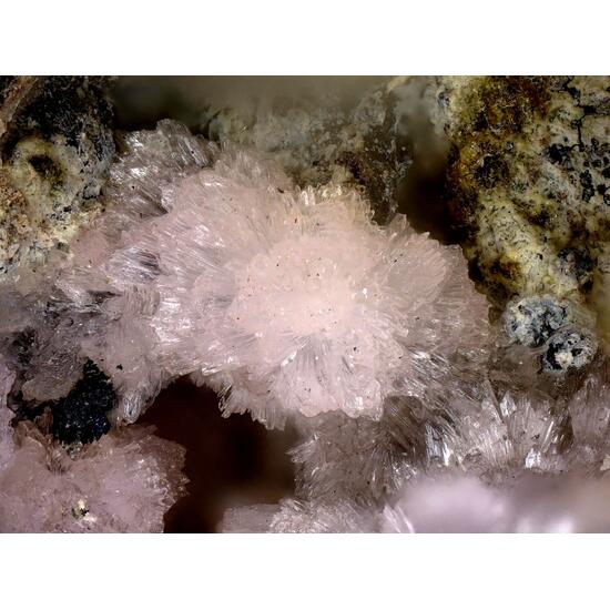 Fluckite