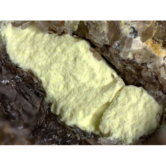 Coconinoite