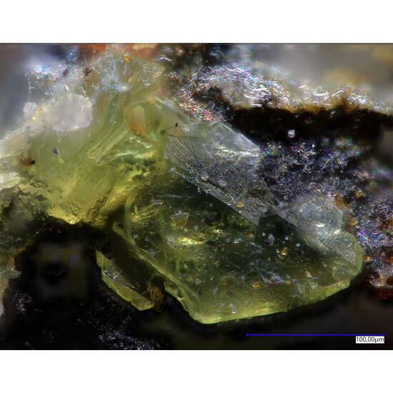 Albrechtschraufite & Rabbittite