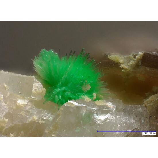 Ulrichite