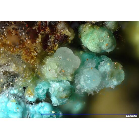 Leonardsenite Hydrokenoralstonite & Zincowoodwardite