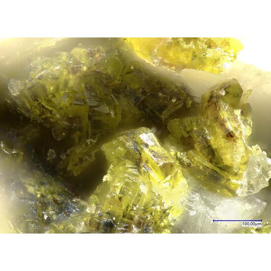 Hydrotungstite & Ferberite