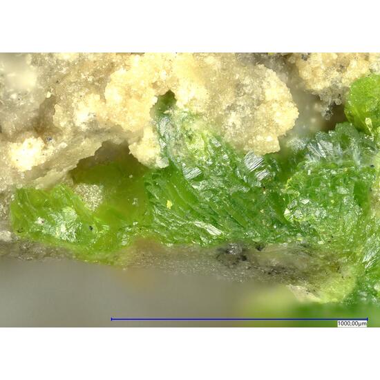 Rodalquilarite