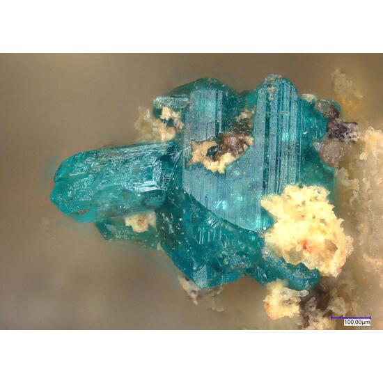 Caledonite & Chlorargyrite