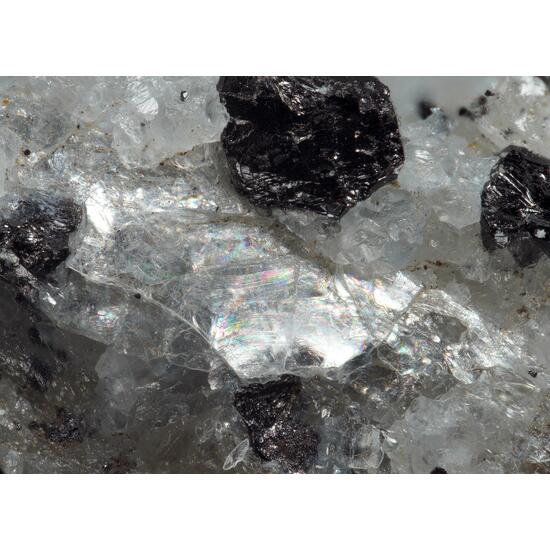 Molybdophyllite