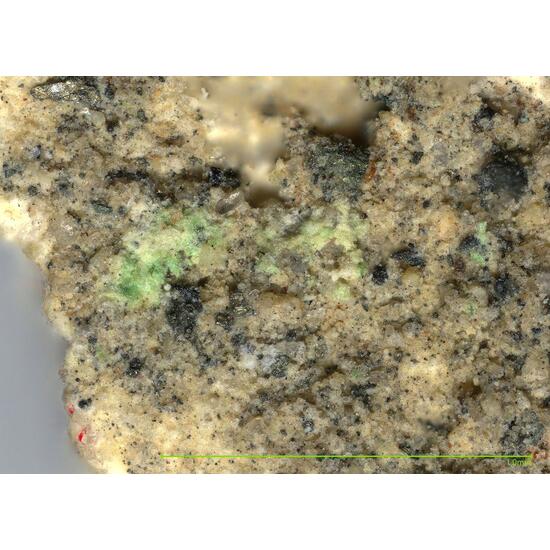 Lermontovite