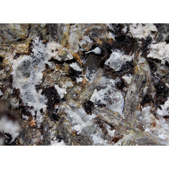 Tavagnascoite