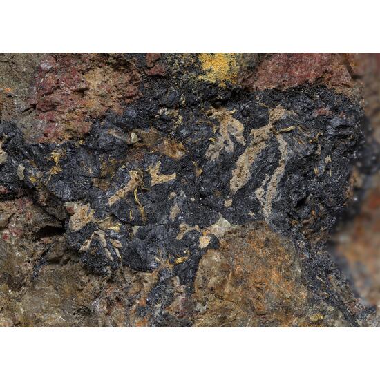 Native Gold & Uraninite