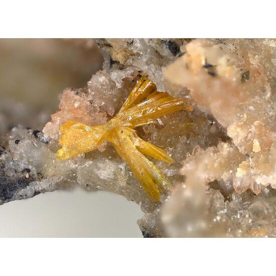 Walpurgite