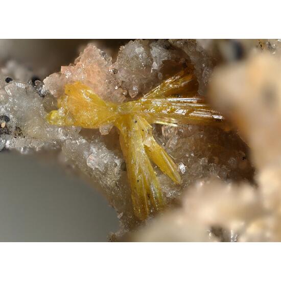 Walpurgite